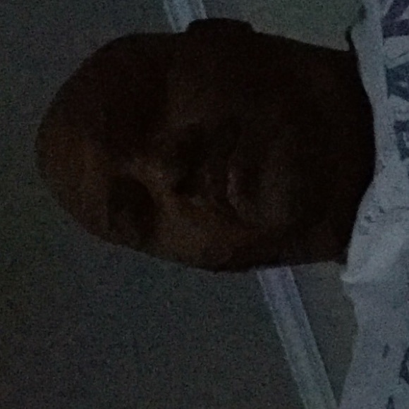 Meet your Posher, Corey - Picture 1 of 1